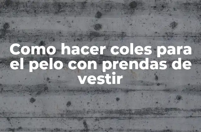 Como Hacer Coles para el Pelo con Prendas de Vestir