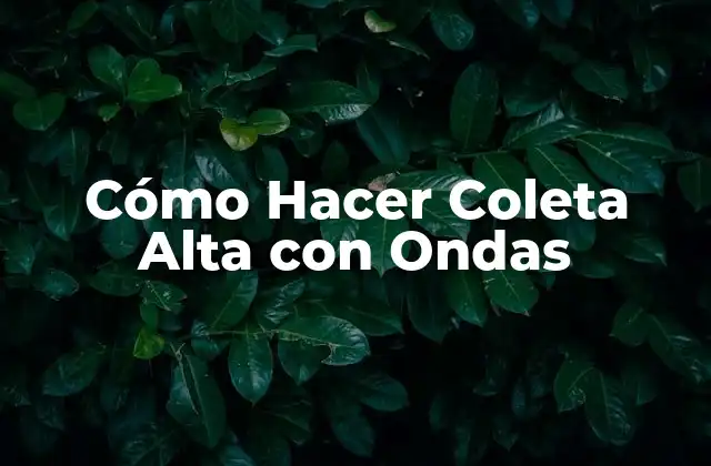 Cómo Hacer Coleta Alta con Ondas