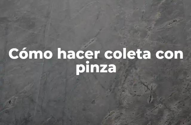 Cómo Hacer Coleta con Pinza