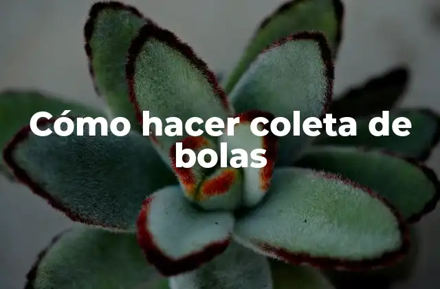 Cómo Hacer Coleta de Bolas