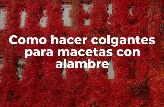 Como Hacer Colgantes para Macetas con Alambre