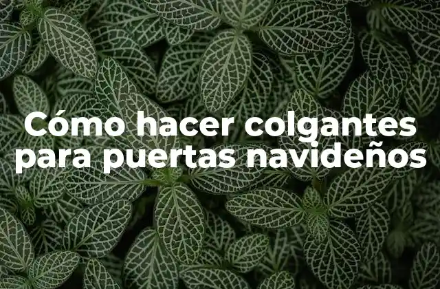 Cómo Hacer Colgantes para Puertas Navideños 2 Cómo hacer colgantes para puertas navideños: qué son y para qué sirven