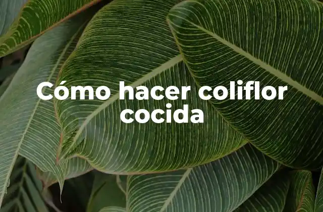 ¿Qué es la coliflor cocida y para qué sirve?