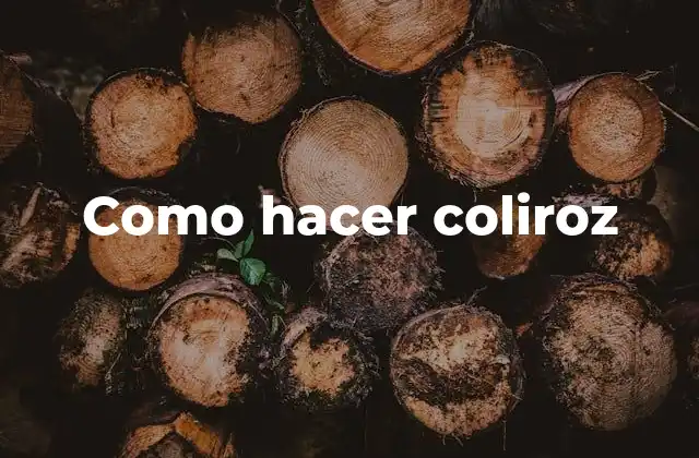 Como Hacer Coliroz