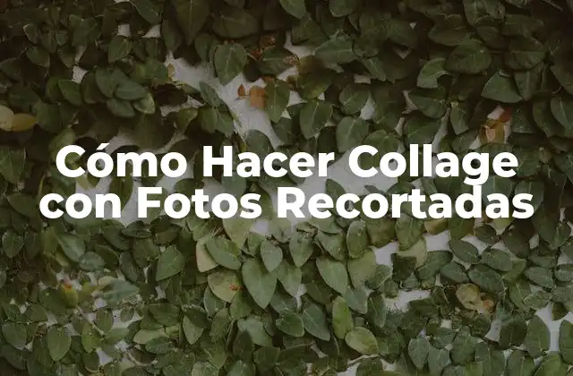 Cómo Hacer Collage con Fotos Recortadas