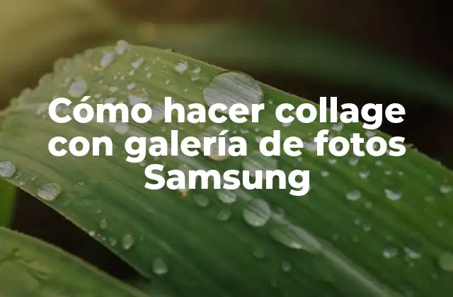 Cómo Hacer Collage con Galería de Fotos Samsung
