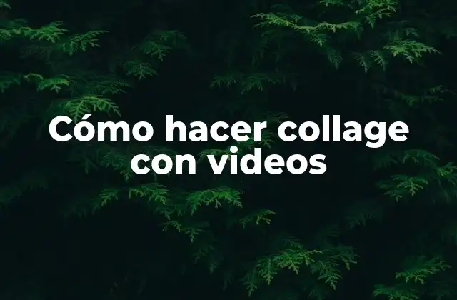 Cómo Hacer Collage con Videos
