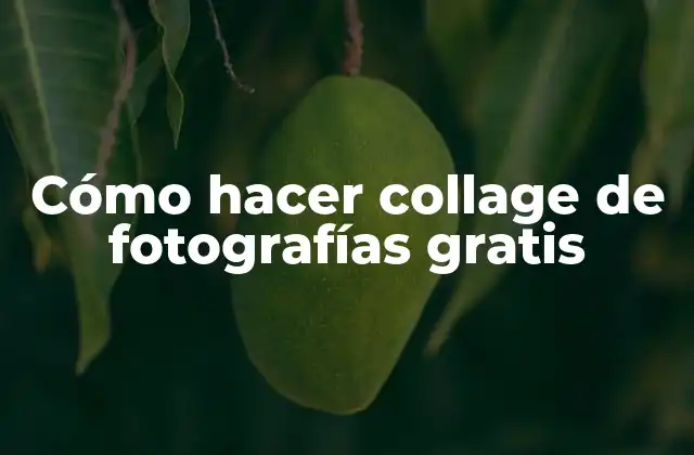 Cómo Hacer Collage de Fotografías Gratis