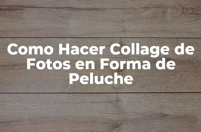 Como Hacer Collage de Fotos en Forma de Peluche