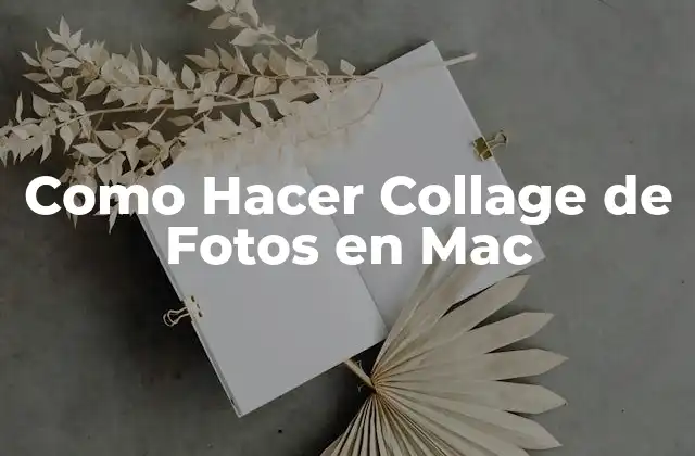 Como Hacer Collage de Fotos en Mac 2 ¿Qué es un Collage de Fotos y para Qué Sirve?