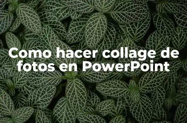 Como Hacer Collage de Fotos en Powerpoint