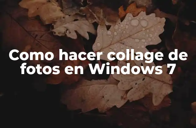 Como Hacer Collage de Fotos en Windows 7