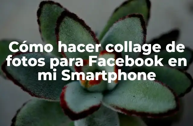 Cómo Hacer Collage de Fotos para Facebook en Mi Smartphone