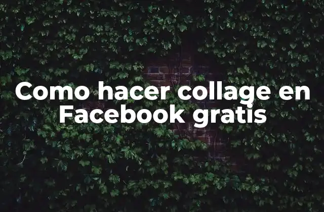 Como Hacer Collage en Facebook Gratis