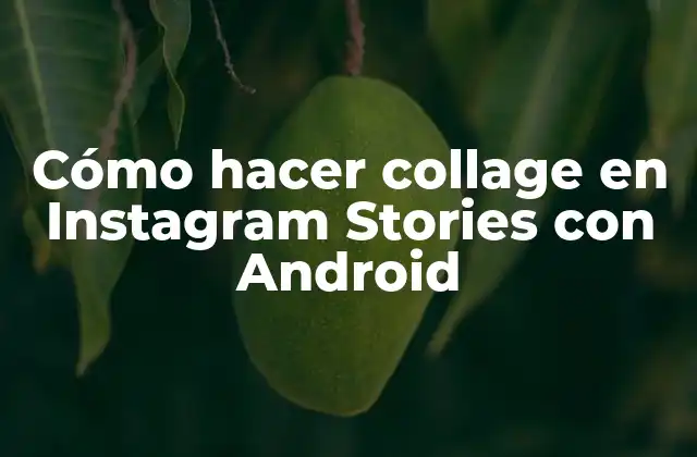Cómo Hacer Collage en Instagram Stories con Android