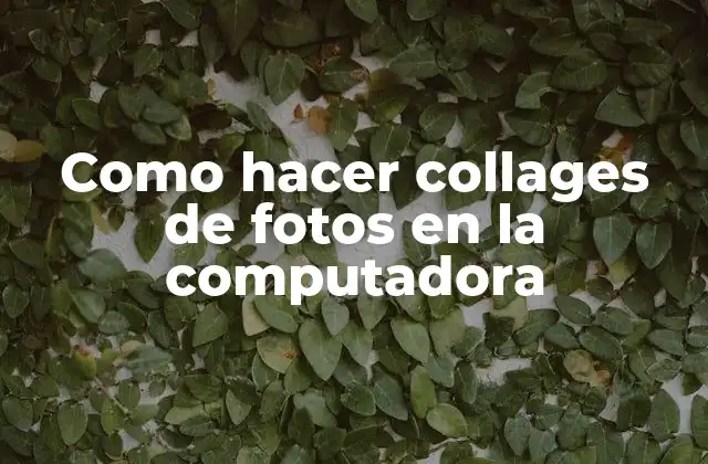 Como Hacer Collages de Fotos en la Computadora