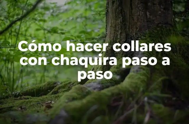 Cómo Hacer Collares con Chaquira Paso a Paso