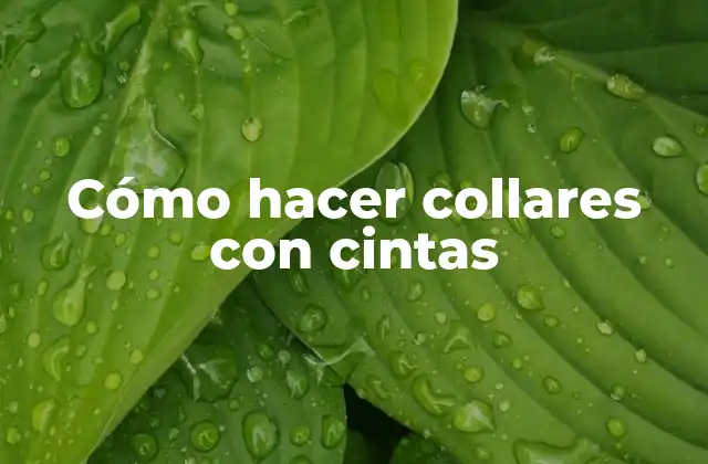 Cómo Hacer Collares con Cintas
