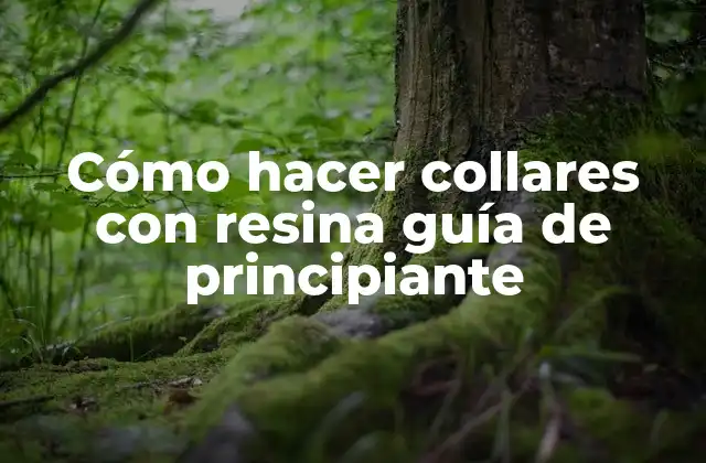 Cómo Hacer Collares con Resina Guía de Principiante