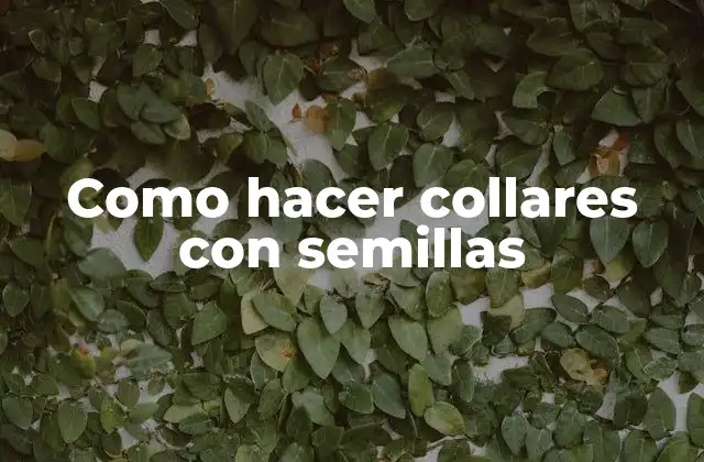 Como Hacer Collares con Semillas