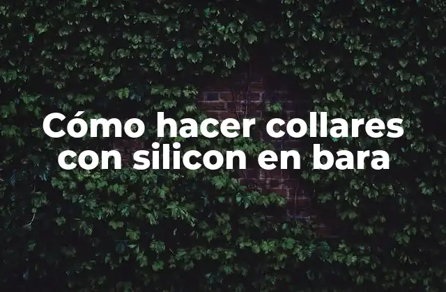 Cómo Hacer Collares con Silicon en Bara