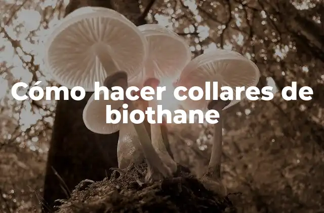 Cómo Hacer Collares de Biothane 2 ¿Qué es biothane y para qué sirve?