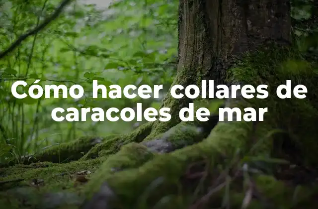 Cómo Hacer Collares de Caracoles de Mar 2 ¿Qué son los collares de caracoles de mar?