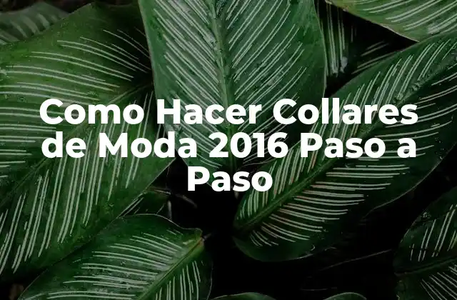 Como Hacer Collares de Moda 2016 Paso a Paso