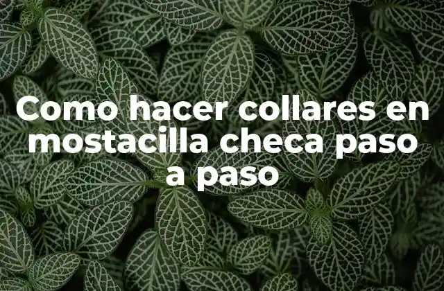 Como Hacer Collares en Mostacilla Checa Paso a Paso