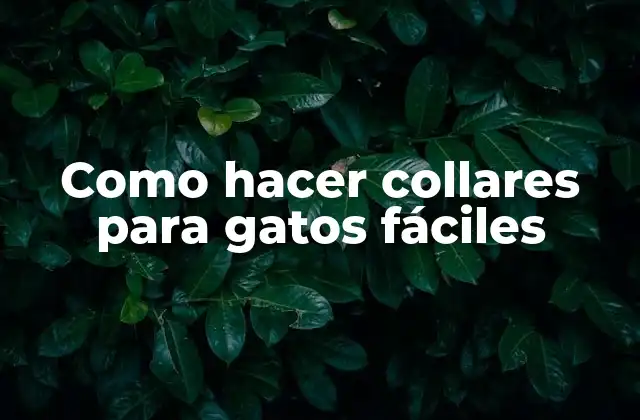 Como Hacer Collares para Gatos Fáciles