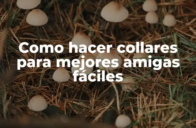 Collares para mejores amigas fáciles: una forma de expresar tu amistad