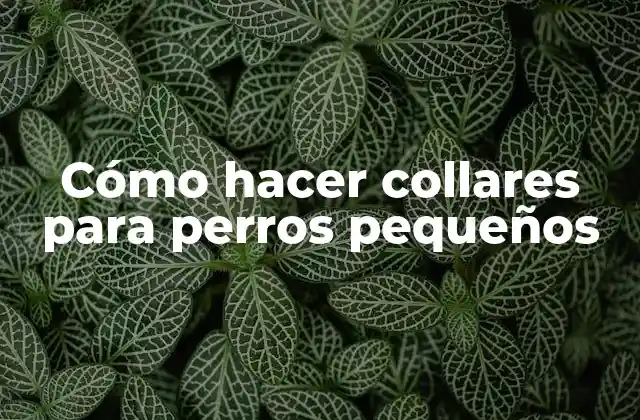Cómo Hacer Collares para Perros Pequeños