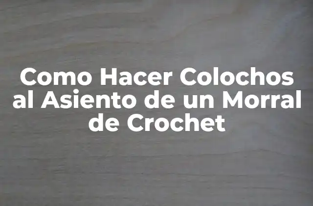 Como Hacer Colochos Al Asiento de un Morral de Crochet