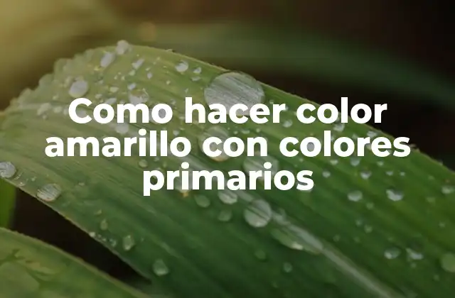 Como Hacer Color Amarillo con Colores Primarios