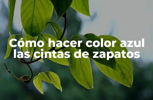 Cómo Hacer Color Azul las Cintas de Zapatos