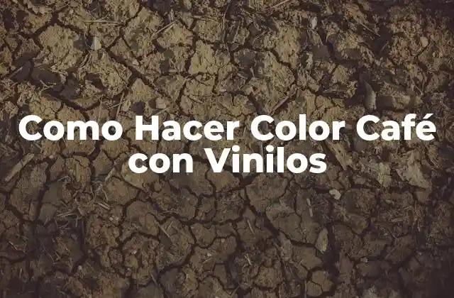 ¿Qué es el Color Café con Vinilos y Para Qué Sirve?