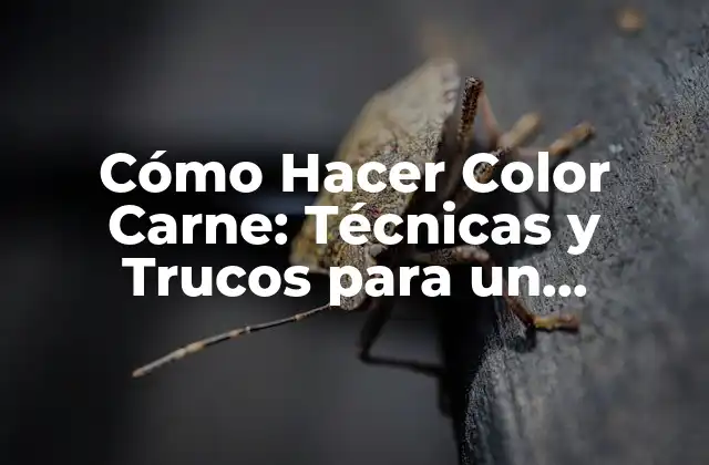 Cómo Hacer Color Carne: Técnicas y Trucos para un Resultado Profesional