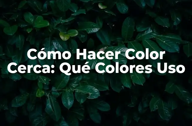 Cómo Hacer Color Cerca: Qué Colores Uso