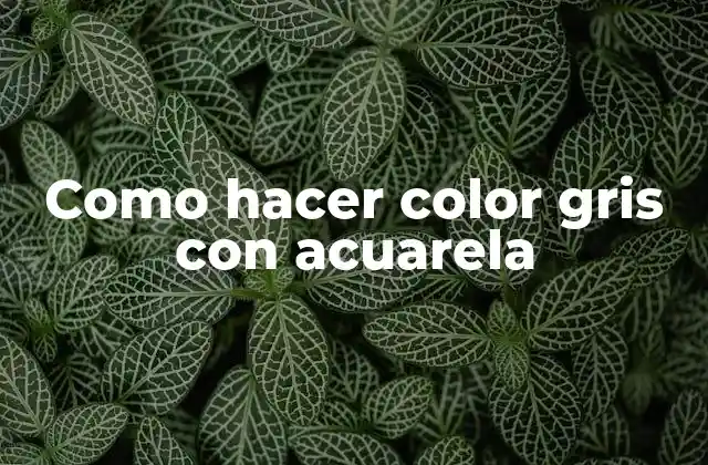 Como Hacer Color Gris con Acuarela