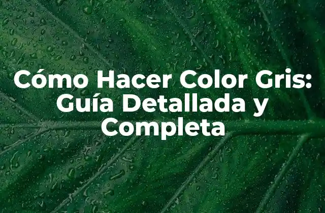 Conceptos Básicos del Color Gris