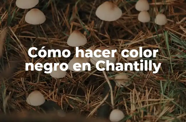 Cómo Hacer Color Negro en Chantilly