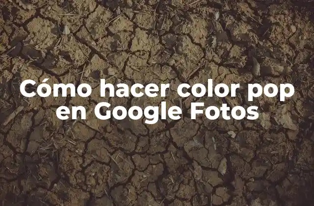 Cómo Hacer Color Pop en Google Fotos