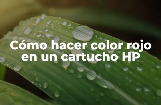 Cómo Hacer Color Rojo en un Cartucho Hp