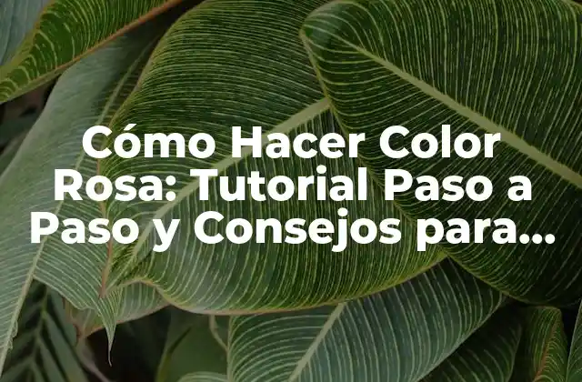 Cómo Hacer Color Rosa: Tutorial Paso a Paso y Consejos para Lograr el Tonos Perfecto