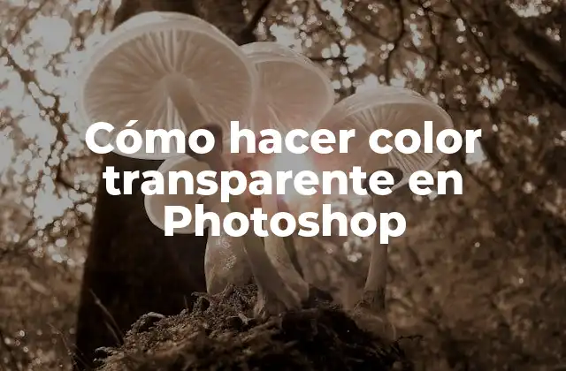 Cómo Hacer Color Transparente en Photoshop