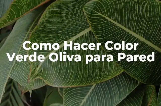 Como Hacer Color Verde Oliva para Pared