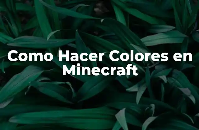 Como Hacer Colores en Minecraft 2 ¿Qué son los Colores en Minecraft?