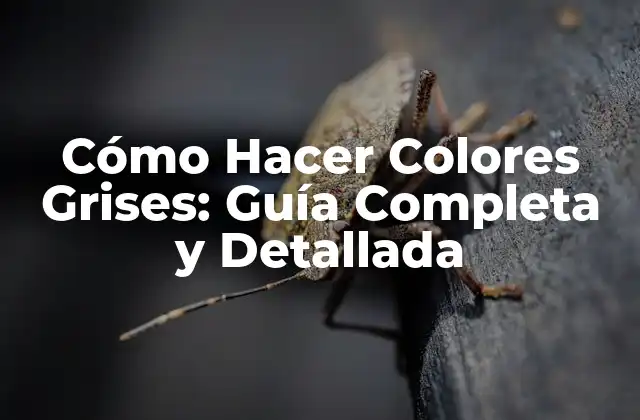 Cómo Hacer Colores Grises: Guía Completa y Detallada