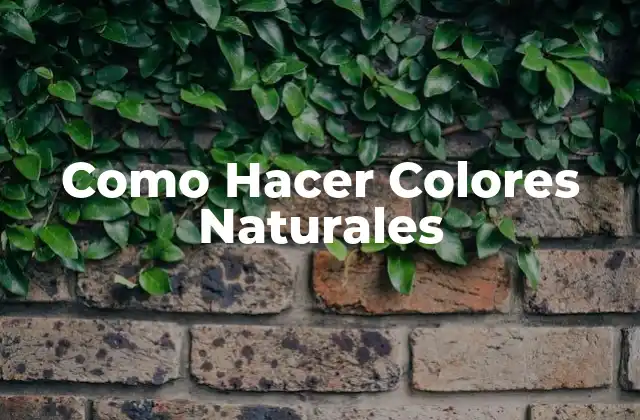 Como Hacer Colores Naturales