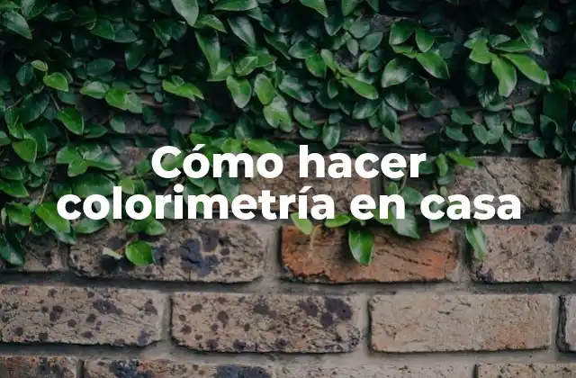 Cómo Hacer Colorimetría en Casa